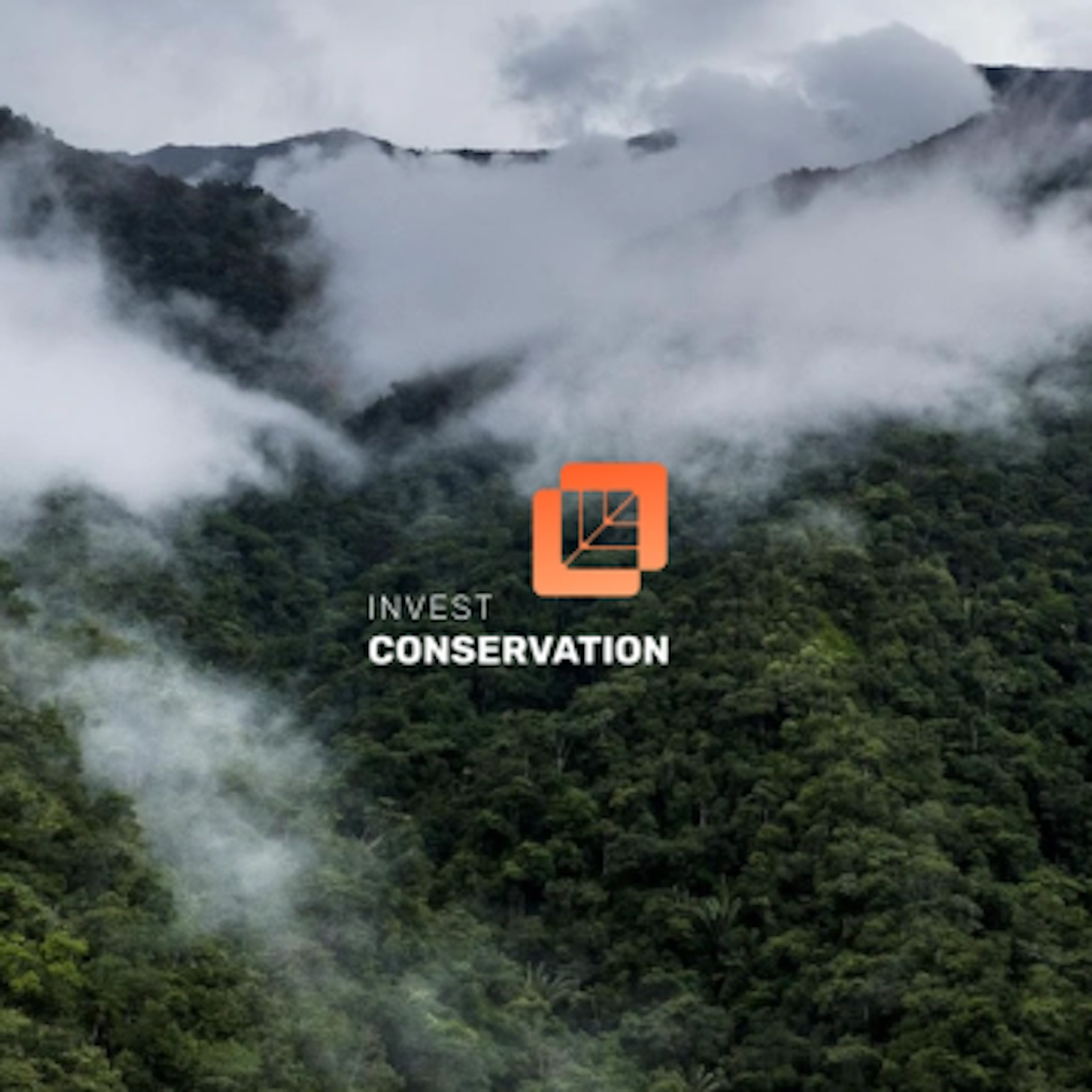 InvestConservation’s Success with Orbify: Transforming Conservation with Satellite Technology