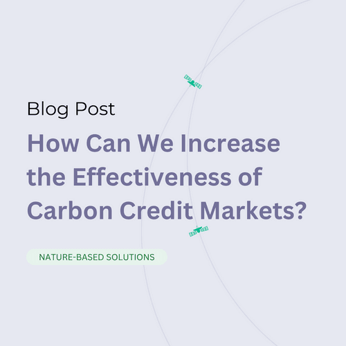 How Can We Increase the Effectiveness of Carbon Credit Markets? 