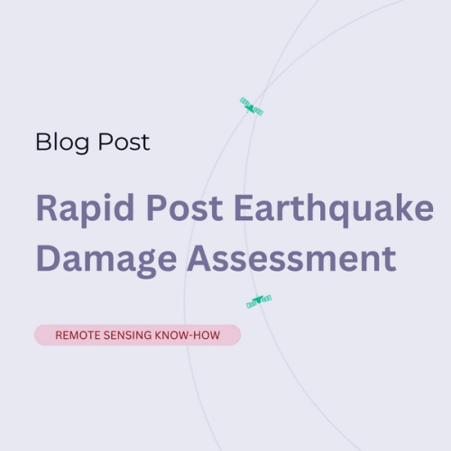 Rapid Post Earthquake Damage Assessment