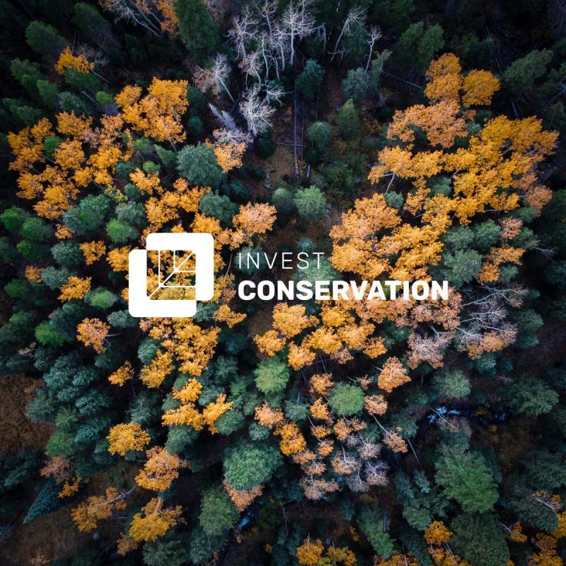 Forest conservation monitoring & risk assessment
