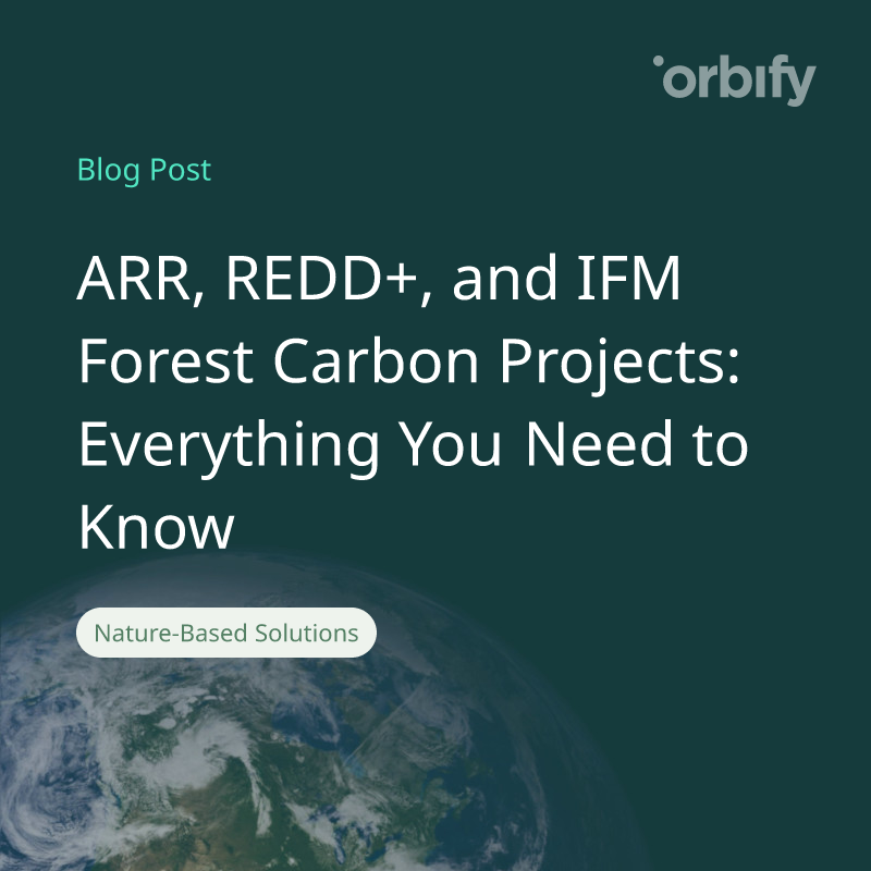 ARR, REDD+, and IFM Forest Carbon Projects: Everything You Need to Know 