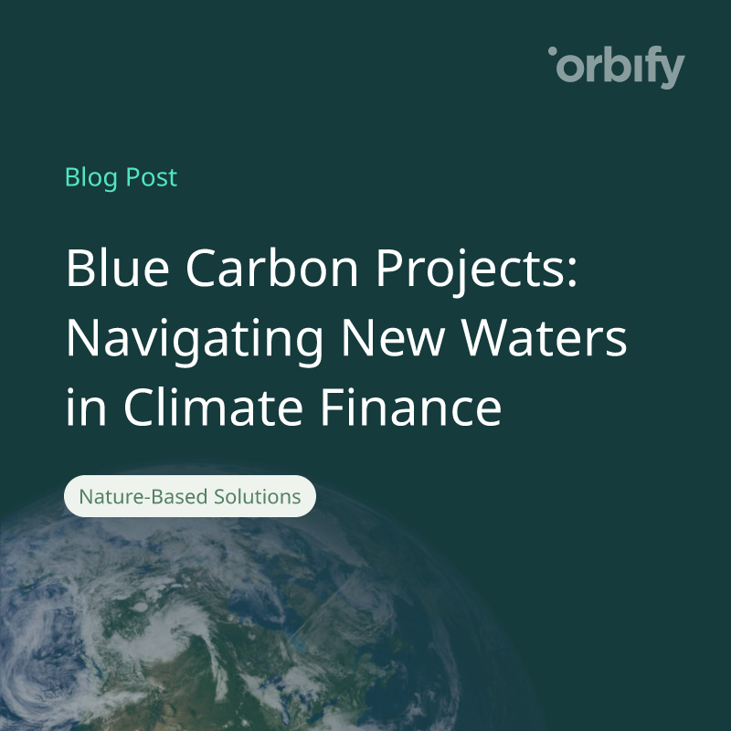 Blue Carbon Projects: Navigating New Waters in Climate Finance