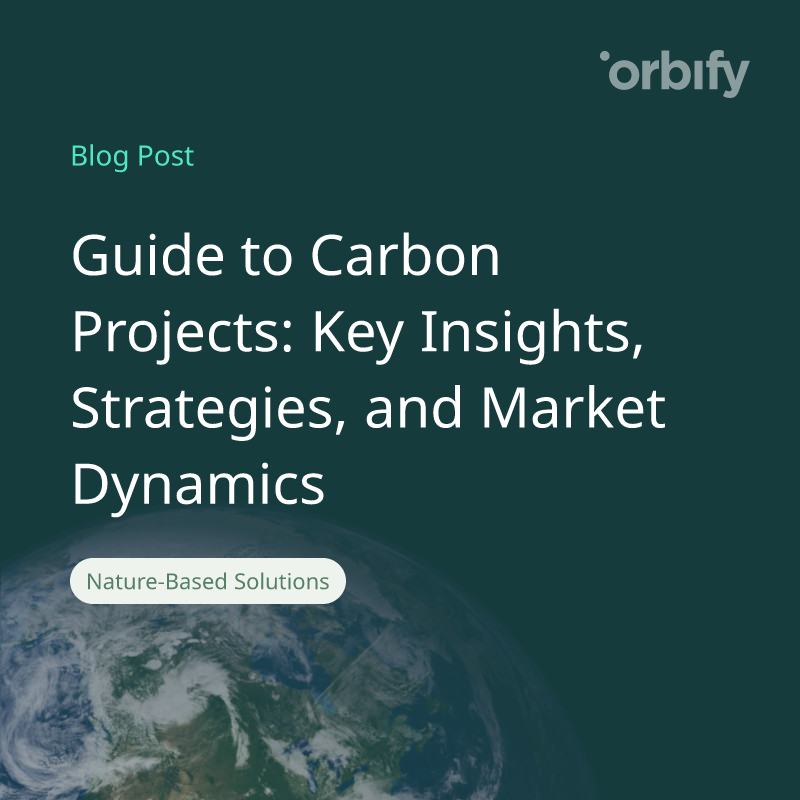 Guide to Carbon Projects: Key Insights, Strategies, and Market Dynamics