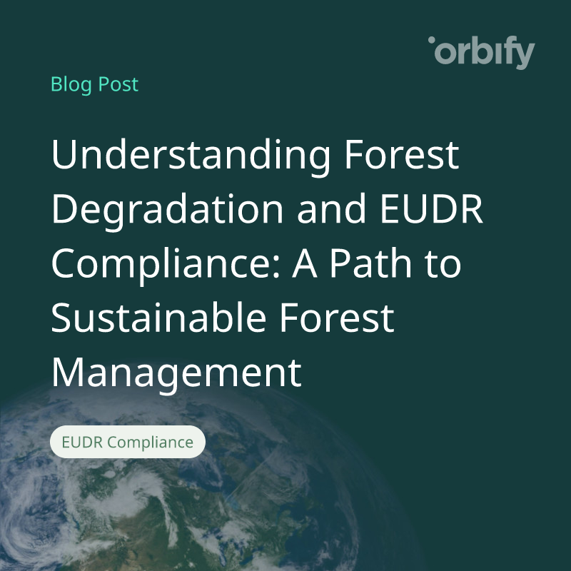 Understanding Forest Degradation and EUDR Compliance: A Path to Sustainable Forest Management